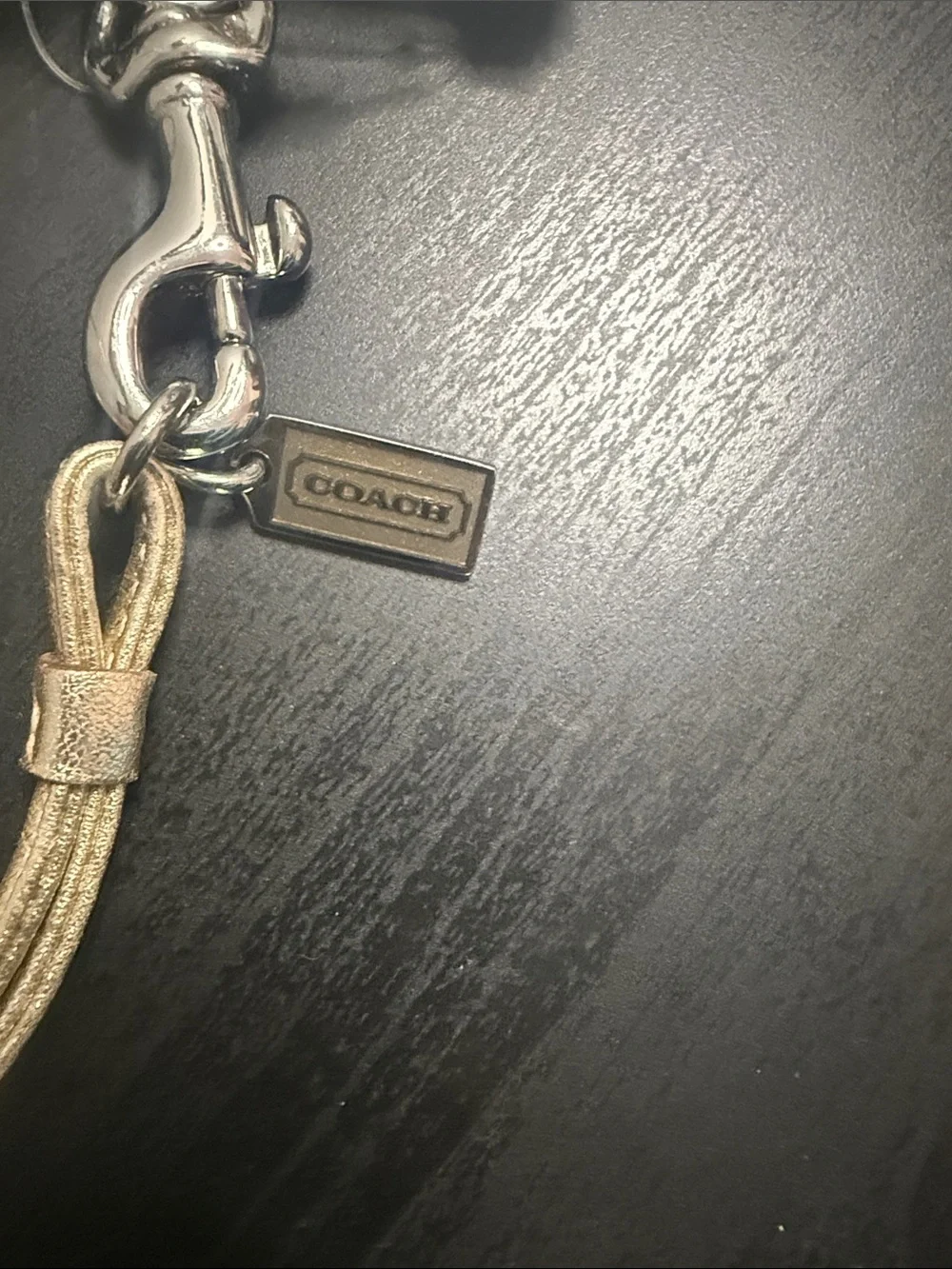 Coach Vintage Metallic Gold Leather iPod Shuffle Holder with Lanyard